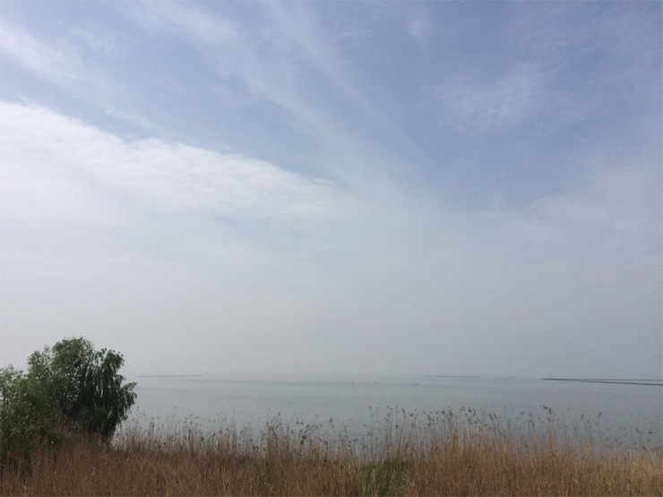 國禎環保-快樂(le) 國禎環湖毅行沿途風景