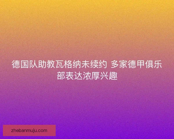 德国队助教瓦格纳未续约 多家德甲俱乐部表达浓厚兴趣