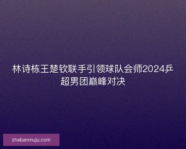 林诗栋王楚钦联手引领球队会师2024乒超男团巅峰对决