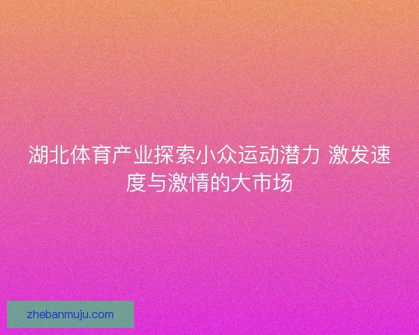 湖北体育产业探索小众运动潜力 激发速度与激情的大市场