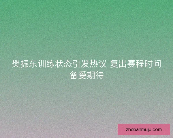 樊振东训练状态引发热议 复出赛程时间备受期待