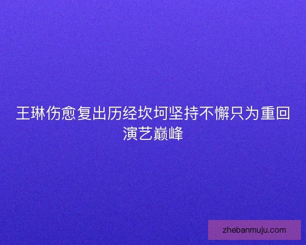 王琳伤愈复出历经坎坷坚持不懈只为重回演艺巅峰