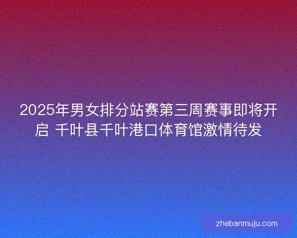 2025年男女排分站赛第三周赛事即将开启 千叶县千叶港口体育馆激情待发