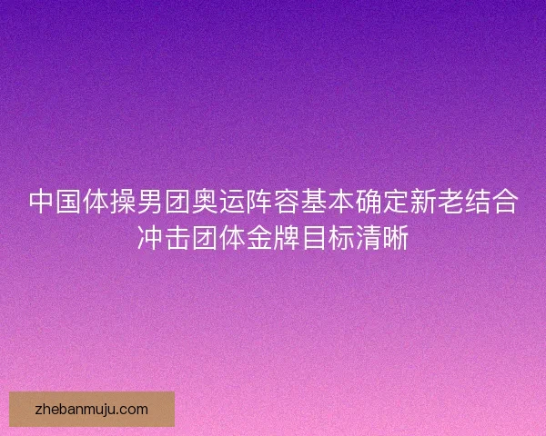 中国体操男团奥运阵容基本确定新老结合冲击团体金牌目标清晰